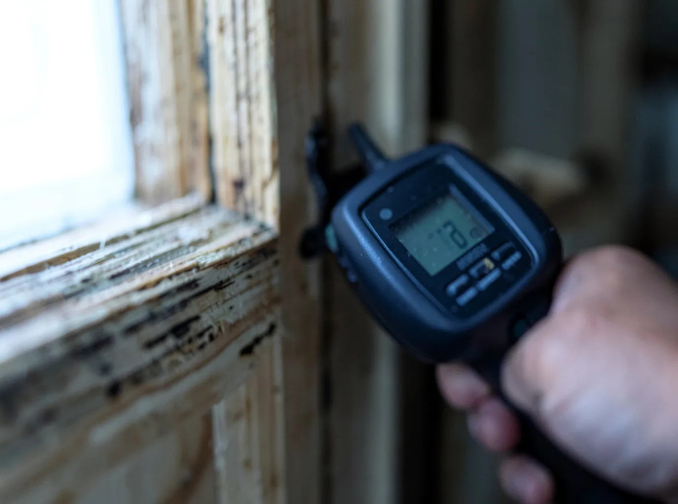 Moisture Inspection And Documentation in Terry, MT